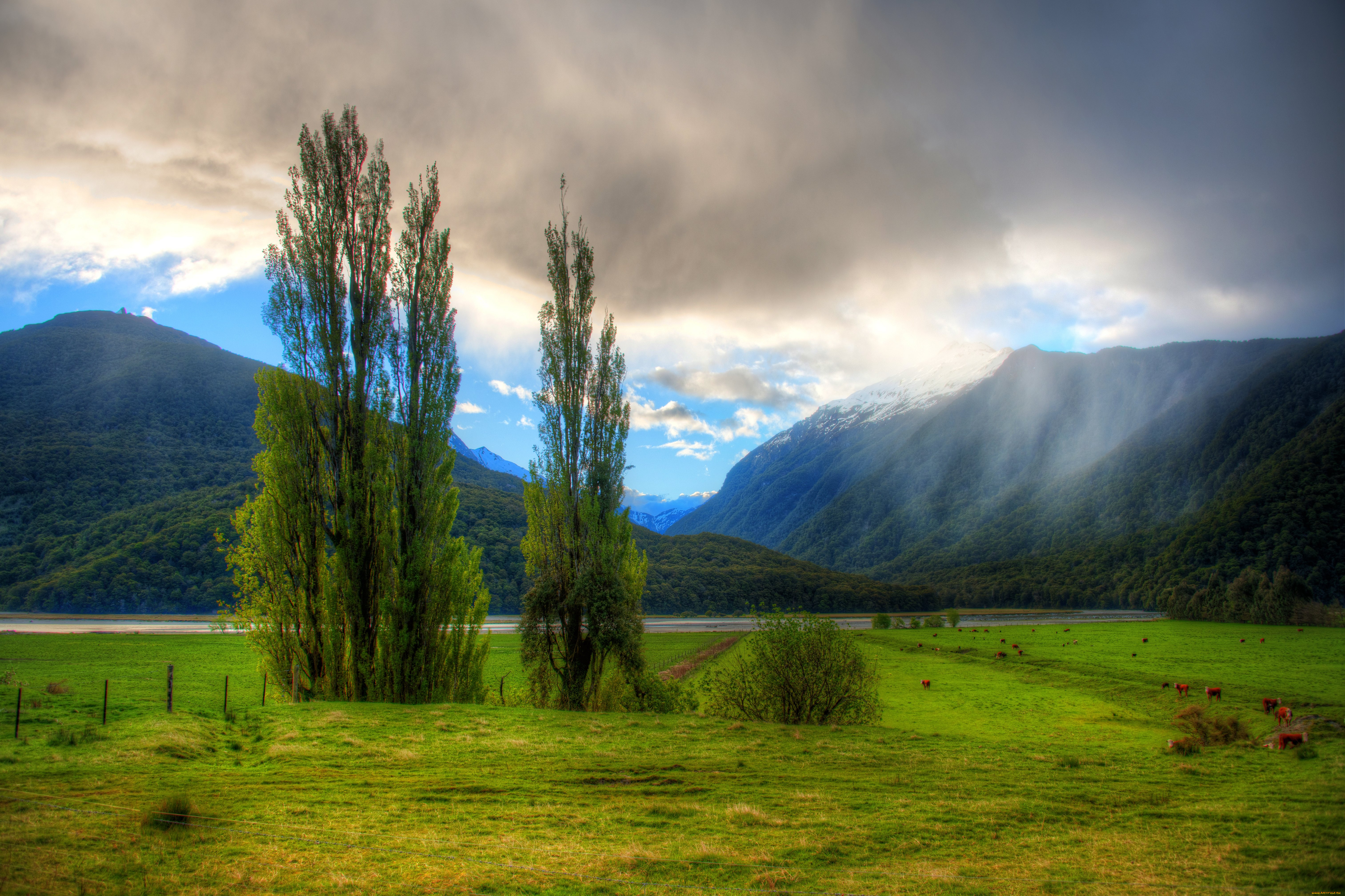 Природа картинки. Природа новой Зеландии горы. Новая Зеландия Луга. Уймонская Долина. Новозеландия природа.